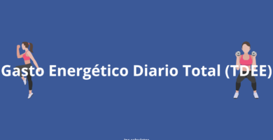 Calcular Gasto Energético Diario Total (TDEE)